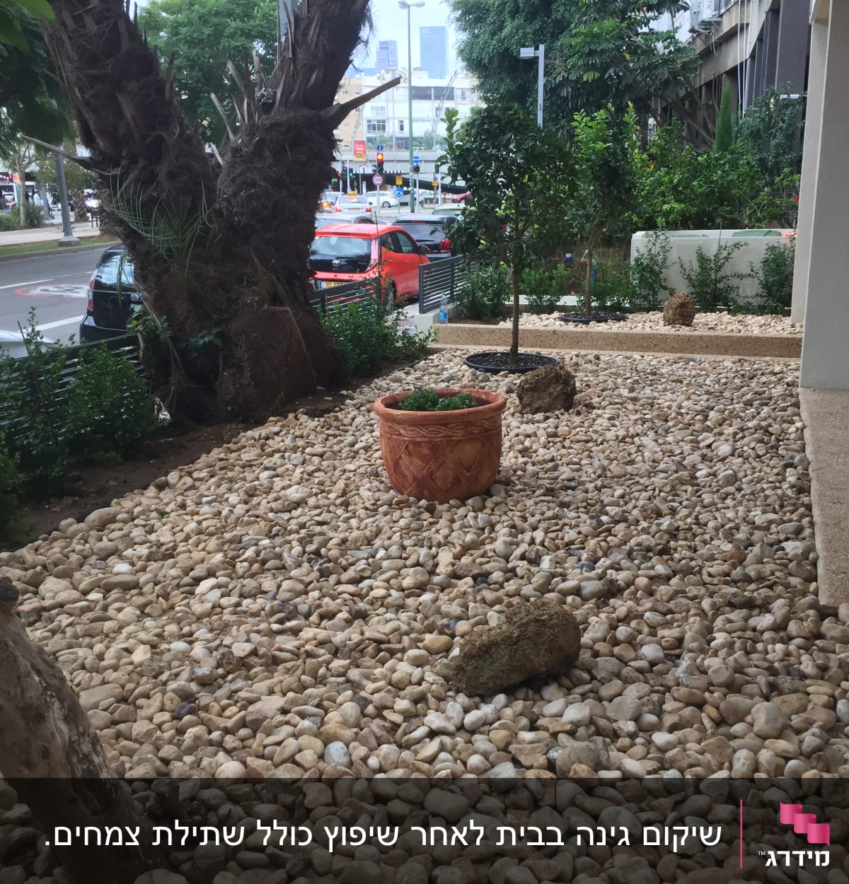 עציץ על חצץ עם עצים ושיחים מסביב